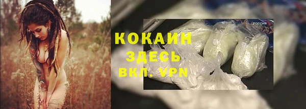 дмт Дмитровск