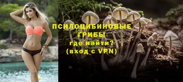MDMA Дмитриев